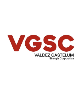 VGSC